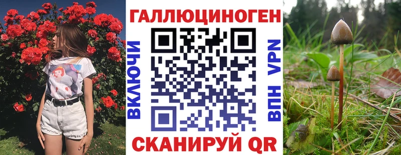 Псилоцибиновые грибы Psilocybine cubensis  Купить где  Россошь 